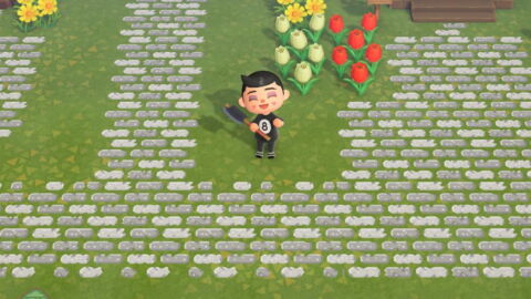 Numéro 5 : Roche blanche et grise