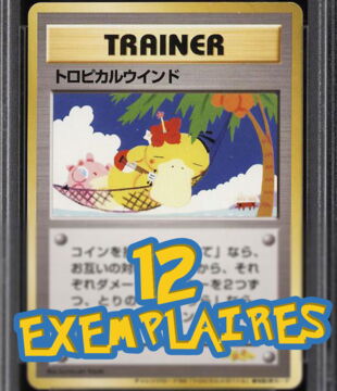 2ème carte Pokémon la plus rare : 'Trainer - Tropical Mega Battle Psyduck (Psykokwak)' - 12 exemplaires