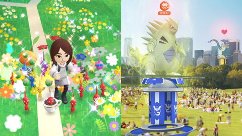 2. Raids ou plantes, il faut choisir