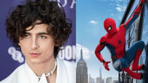 Timothée Chalamet a failli jouer dans Spider-Man
