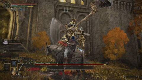 6. La Sentinelle draconique de l'arbre