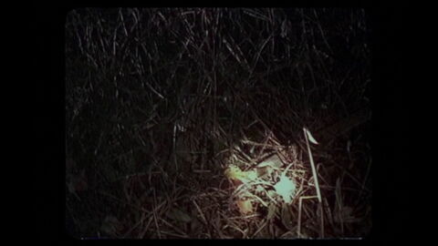Les enfants dans les bois, Le projet Blair Witch (1999)