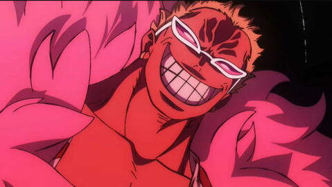 12. Don Quichotte Doflamingo