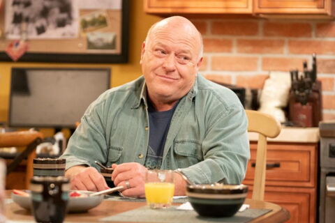 Dean Norris (Hank Schrader)