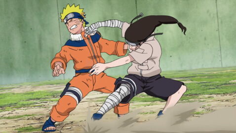 10. Naruto contre Neji