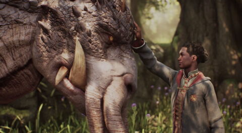 7. Le sauvage Grapcorne