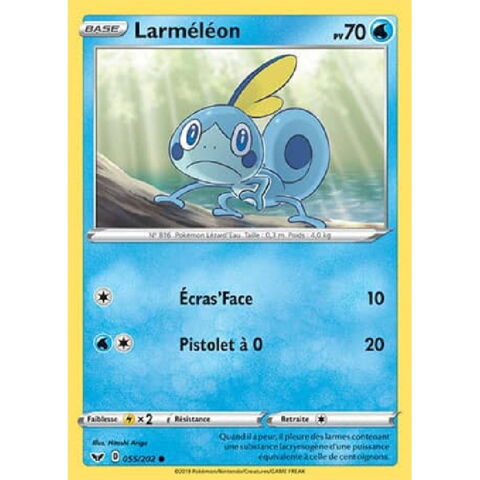 10. Les cartes communes