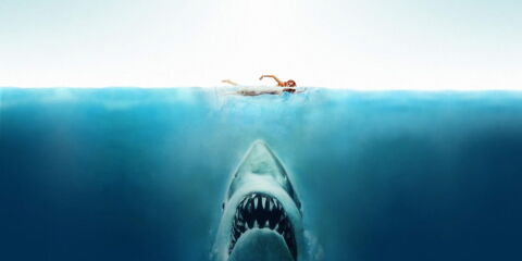 13. Les dents de la mer