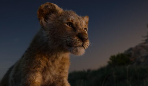 9. Le Roi Lion (2019)