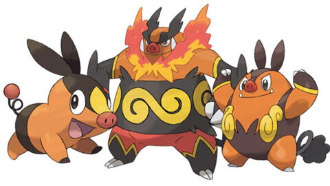 Gruikui, meilleur starter de la 5ème génération !