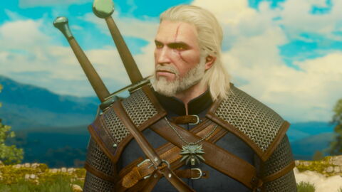 14. The Witcher 3 : Wild Hunt (2015)