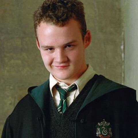 Numéro 7 : Grégory Goyle (interprété par Joshua Herdman)