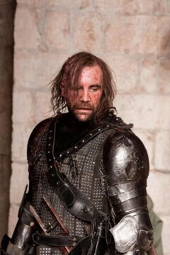 8ème place - Sandor Clegane