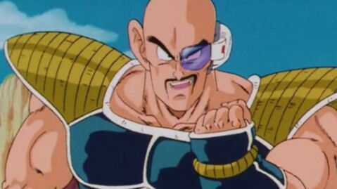 18. Nappa