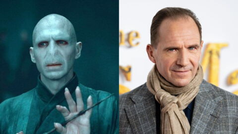 Voldemort (Ralph Fiennes)