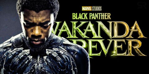 Black Panther : Wakanda Forever - 9 novembre 2022