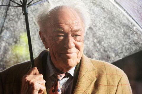 Michael Gambon - le second Albus Dumbledore