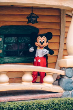 Les têtes cachées de Mickey