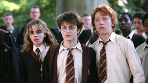 17. Seuls 14 personnages sont apparu dans tous les films