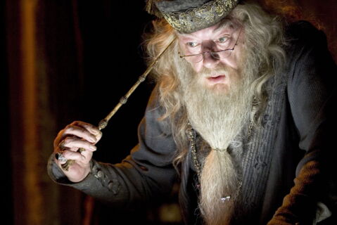 Michael Gambon - Albus Dumbledore