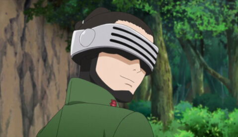 Shino Aburame