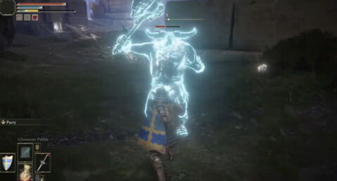 7. Ancestral Follower - Elden Ring