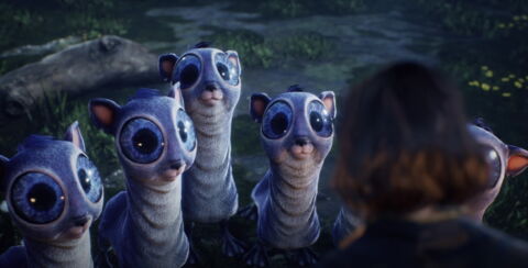 4. Le timide Veaudelune