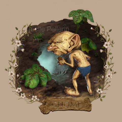 Gnome
