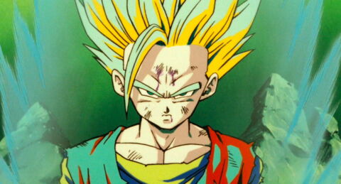 N°2 / Dragon Ball Z : Les Mercenaires de l'espace (1993)