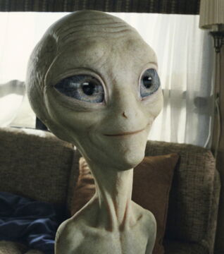 The extraterrestrial from the film 'Paul'