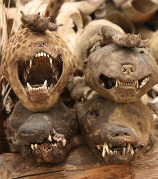Mummified animals and all sorts of voodoo items are sold at the Akodessewa market in Togo