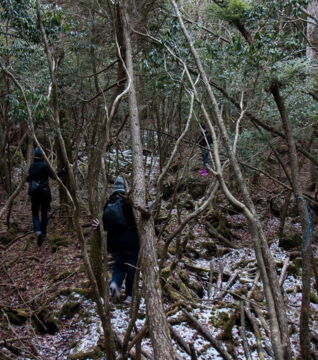 The Aokigahara forest in Japan is known for being the forest of suicides