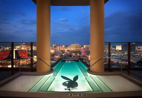 This pool overlooks Las Vegas, the party city! It's at the Palm Casino Resort!
