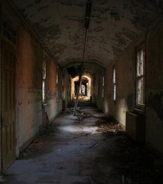 This psychiatric hospital in Sussex opened in 1903 and closed its doors in 1994