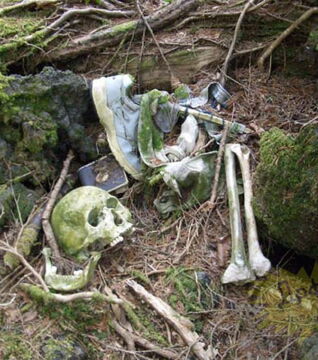 While walking through this suicide forest in Japan it isn’t uncommon to come across bones or abandoned clothing