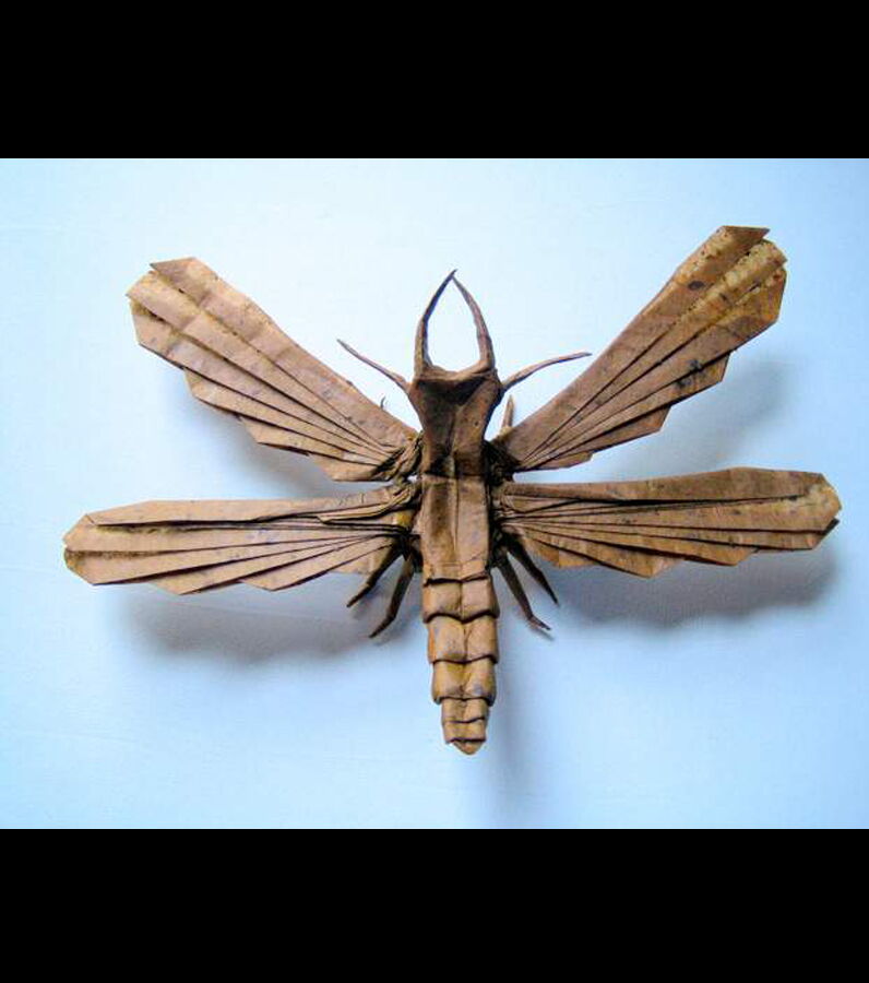 Découvrez les origamis en forme d'insectes en images