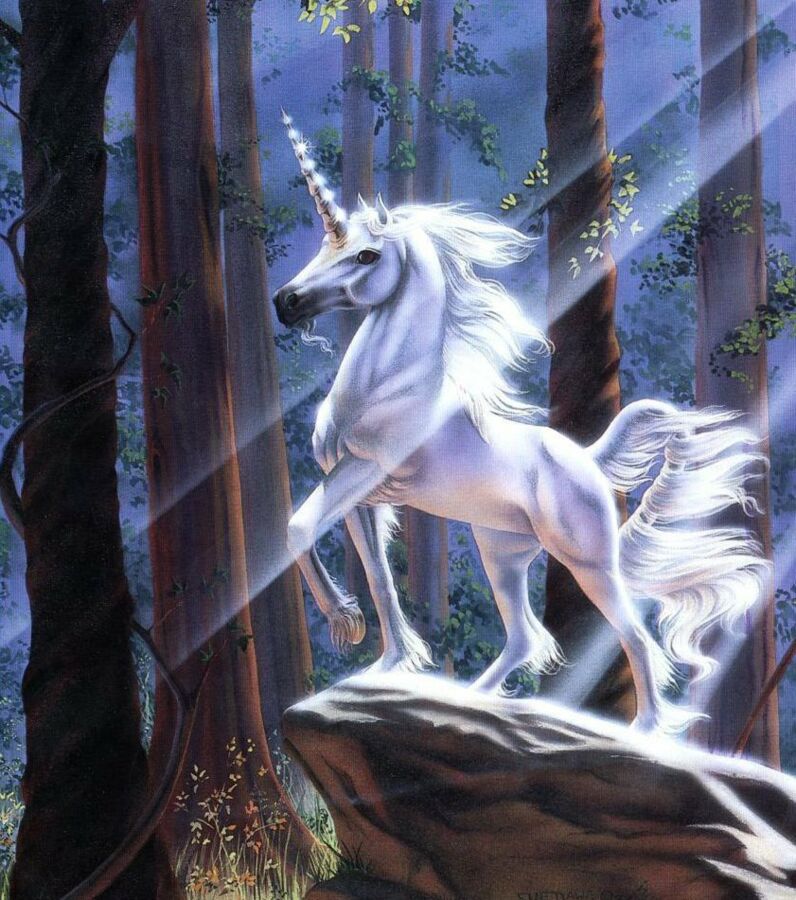 Découvrez La Licorne, La Légendaire Créature à Corne Unique