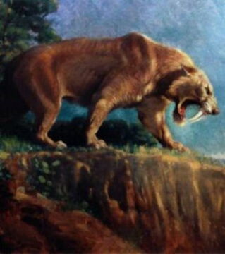 Der Smilodon oder Säbelzahntiger hat vor Millionen Jahren in Amerika gelebt. Dennoch ist er auf der Liste der Tierarten, die eines Tages wieder zum Leben erweckt werden könnten.