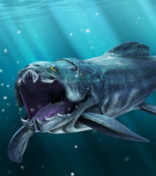 Dunkleosteus: Der schaurige Raubfisch konnte bis zu 10 Meter lang und 5 Tonnen schwer werden. Sein Gebiss war schnell und unnachgiebig.