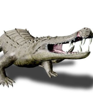 Kaprosuchus: Ein 8 Meter langes Krokodil mit Hauern wie ein Wildschwein. Fleischfressend.