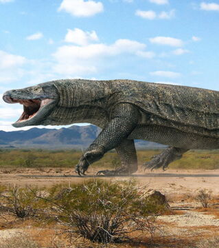 Megalania: Ein riesiger, 8 Meter langer Waran. Er stammt aus Australien und könnte noch den ersten Aborigines begegnet sein.