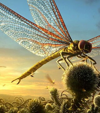 Meganeura: Eine überdimensionale Libelle. Das Raubtier fraß vor allem andere Insekten.