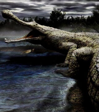 Sarcosuchus: Eines der größten Krokodile, das die Erde je gesehen hat. Es war knapp 15 Meter lang, 10 Tonnen schwer und lebte vor 112 Millionen Jahren.