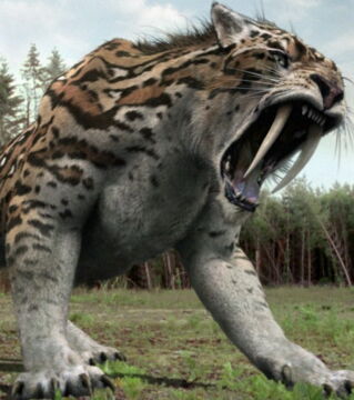 Smilodon: Der Säbelzahntiger war groß wie ein Löwe, jedoch robuster gebaut. Mit seinen massiven Vorderzähnen konnte er seine Beute erdolchen.