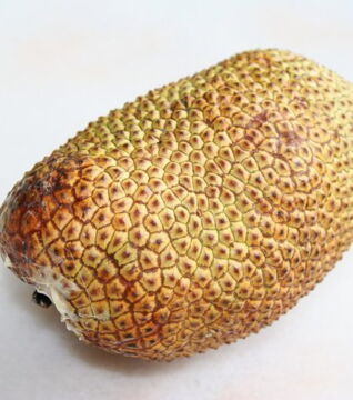 Die Cempedak ist die Frucht des Brotfruchtbaumes und hat ein sehr süßes Fruchtfleisch