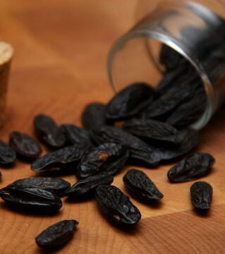 DIe Tonkabohne stammt vom Tonkabohnenbaum und kommt ursprünglich aus der Karibik und Südamerika