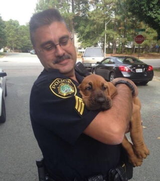 Zukünftige Diensthunde an ihrem ersten Arbeitstag: Und? Wie ist so der erste Tag? Ganz schön anstrengend!