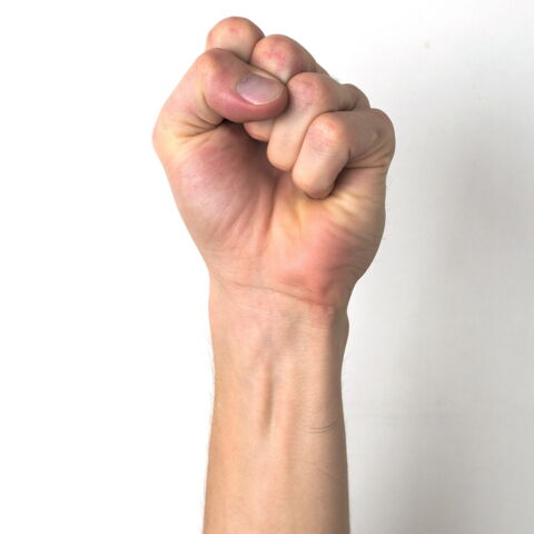 1. Der lange Hohlhandmuskel