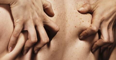 12. Krallen, kratzen, beißen, schlagen: 90,06 %