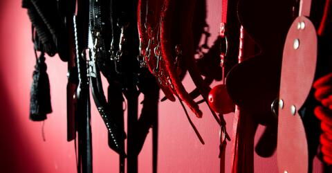 15. Verwendung von Bondage-Accessoires (Seile, Handfesseln, Ketten, Knebel etc.): 87,53 %
